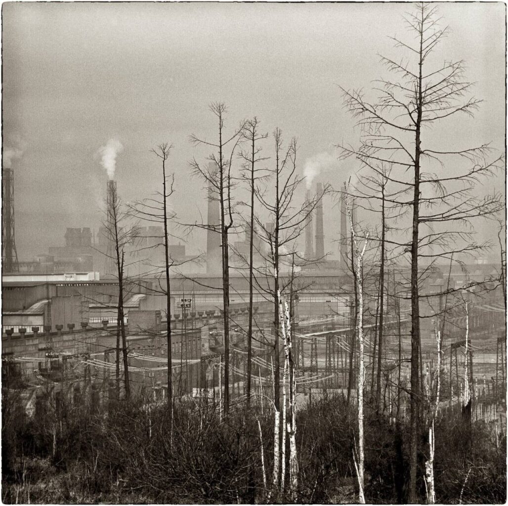 Игорь Верещагин