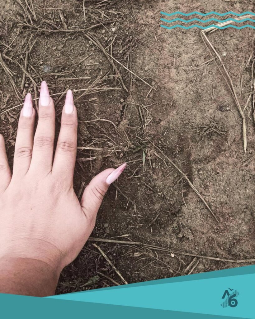 Екатерина Константинова